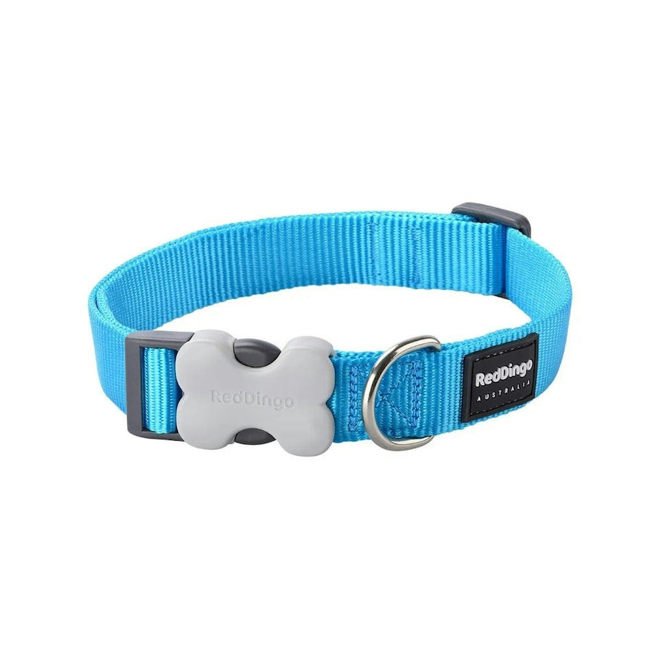 image 1 of Dog Collar Classic Turquoise Blue | XS