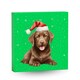 image 1 of Dog Advent Calendar