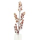 image 1 of Hill Interiors Autumn Branch Artificial Plant - Caramel/Cream/Green - One Size