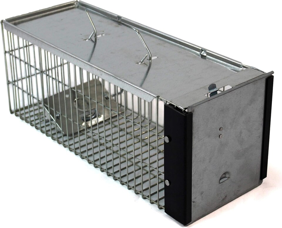 image 1 of Actiaspet - Heavy Duty Rat Trap/Metal Live Catch Cage with Transport Handle | Humane Rodent Catcher
