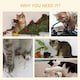 image 10 of PawHut Cat Tree Cute Giraffe Kitten Play Tower with Scratching Posts
