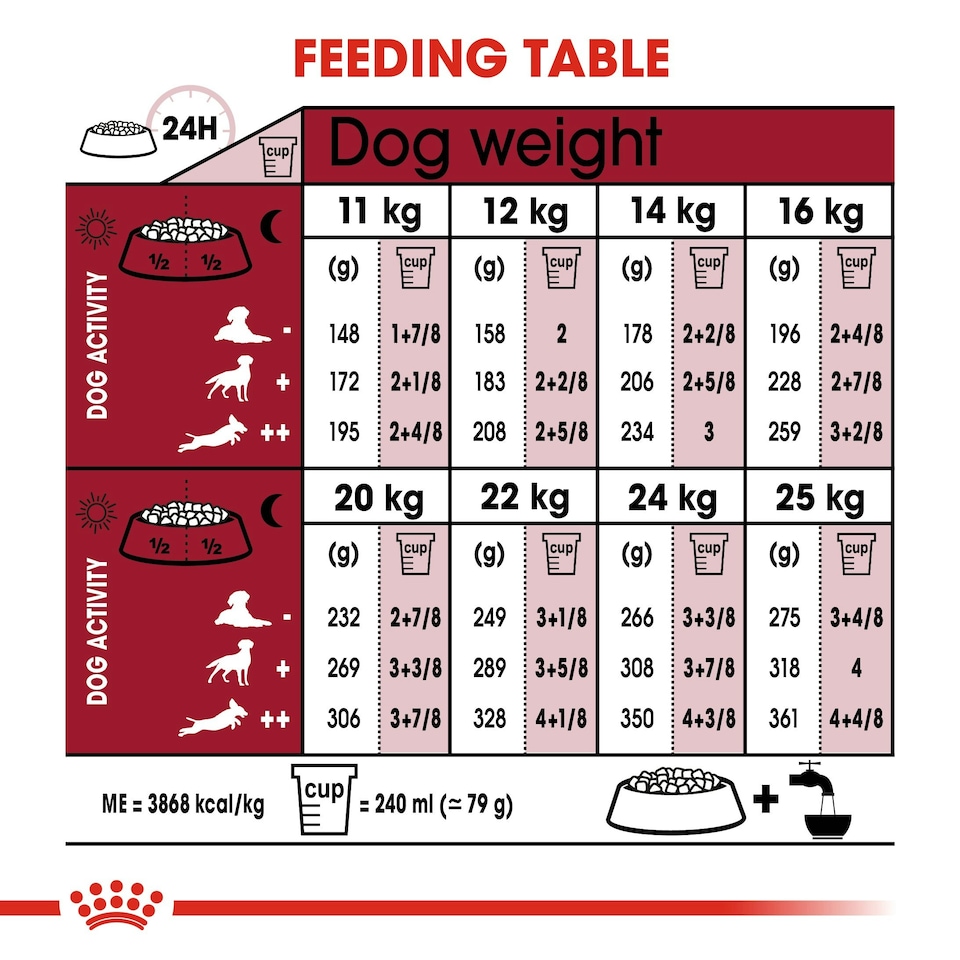 image 1 of Royal Canin Medium Ageing 10+ N/A | Size: 3kg
Breed: Adult