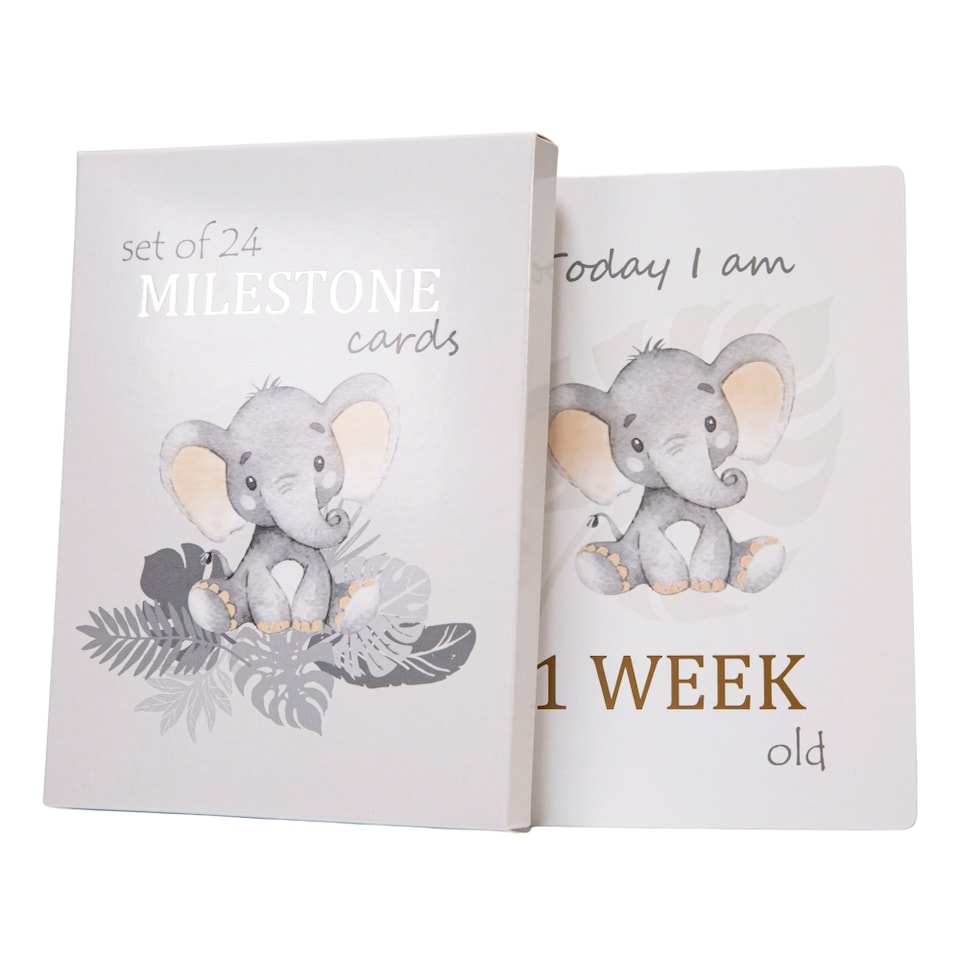 image 1 of Cute Unisex Little ones Elephant Grey Quirky and Fun Set of 24 Milestone Cards