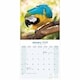image 2 of Macaws 2026 Calendar | Square Wall Calendar | Bird Gift | Plastic Free Packaging | by Avonside Publishing