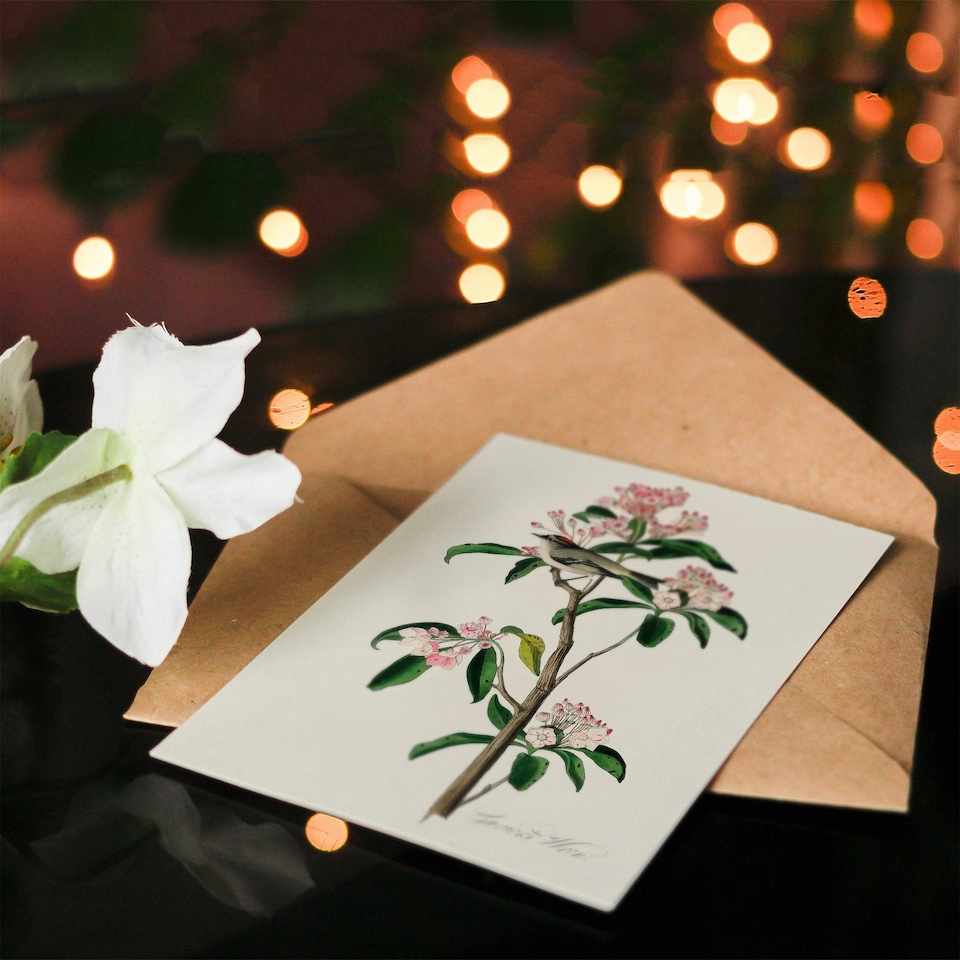 image 1 of John James Audubon Art Card Cuviers Kinglet Bird and Mountain Laurel
