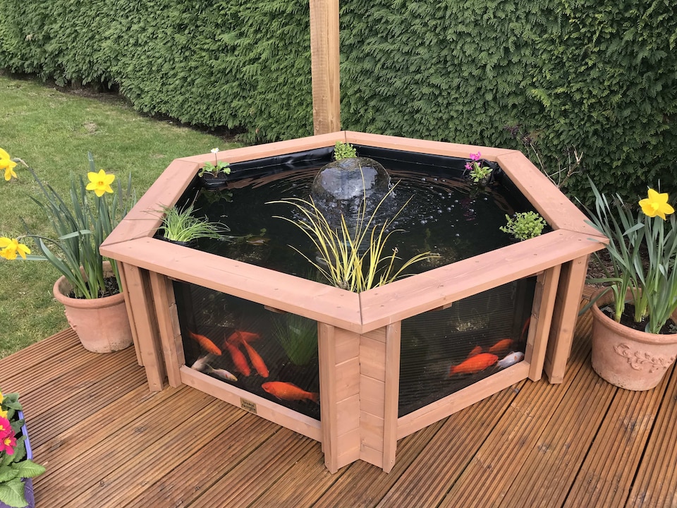 image 1 of Raised hexagon pond with large windows Lily Clear View Garden Aquarium in Natural Brown