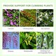 image 3 of Outsunny Set of 2 Metal Trellis for Climbing Plants, Floral Design, 50 x 180cm
