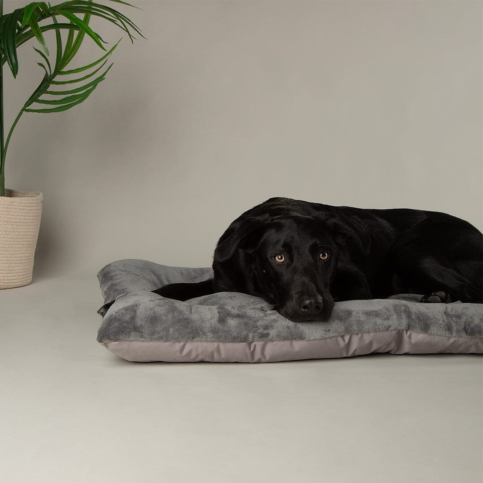 image 1 of Scruffs Expedition Water Resistant Crate Mat - Storm Grey