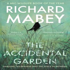 Accidental Garden