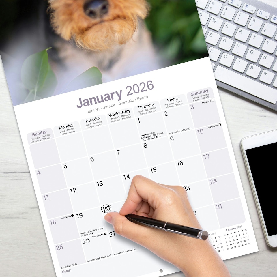 image 1 of Welsh Terrier 2026 Calendar | Square Wall Calendar | Dog Breed Gift | Plastic Free Packaging | by Avonside Publishing