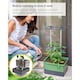image 4 of CHARLY CHILI Chili pot with water tank & climbing system - regular Dark Green | Green | Dark Green