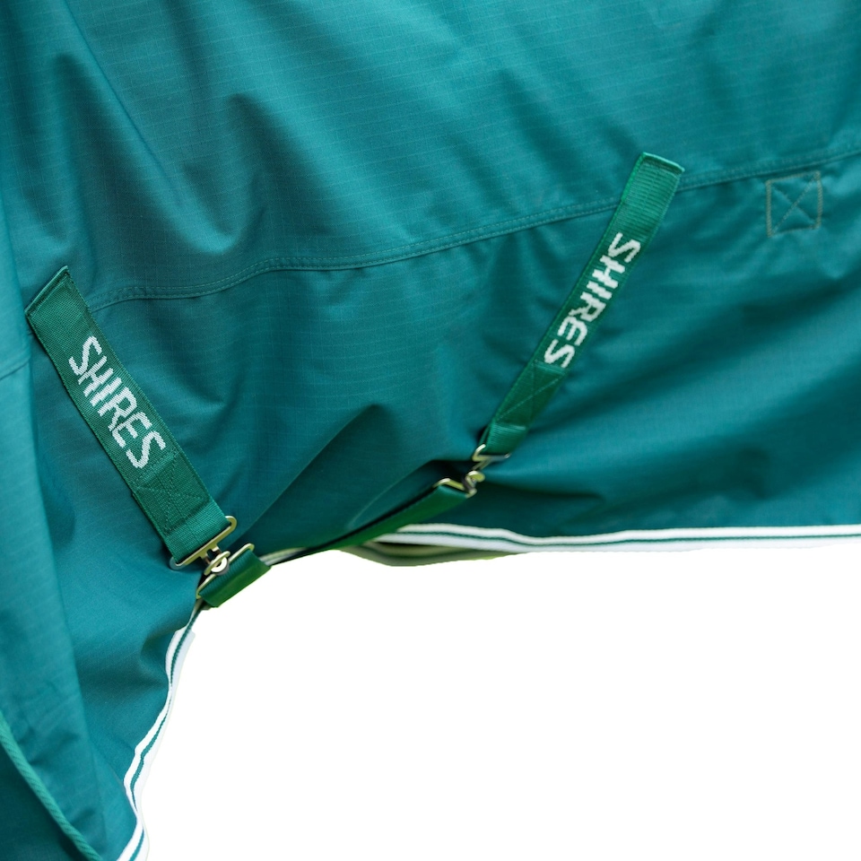 image 1 of Shires Highlander Original 300 Standard-Neck Horse Turnout Rug - Green - 5´ 9"