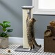 image 8 of PawHut Cat Scratching Post with Vertical Sisal Rope Ball Plush, 81cm, Grey