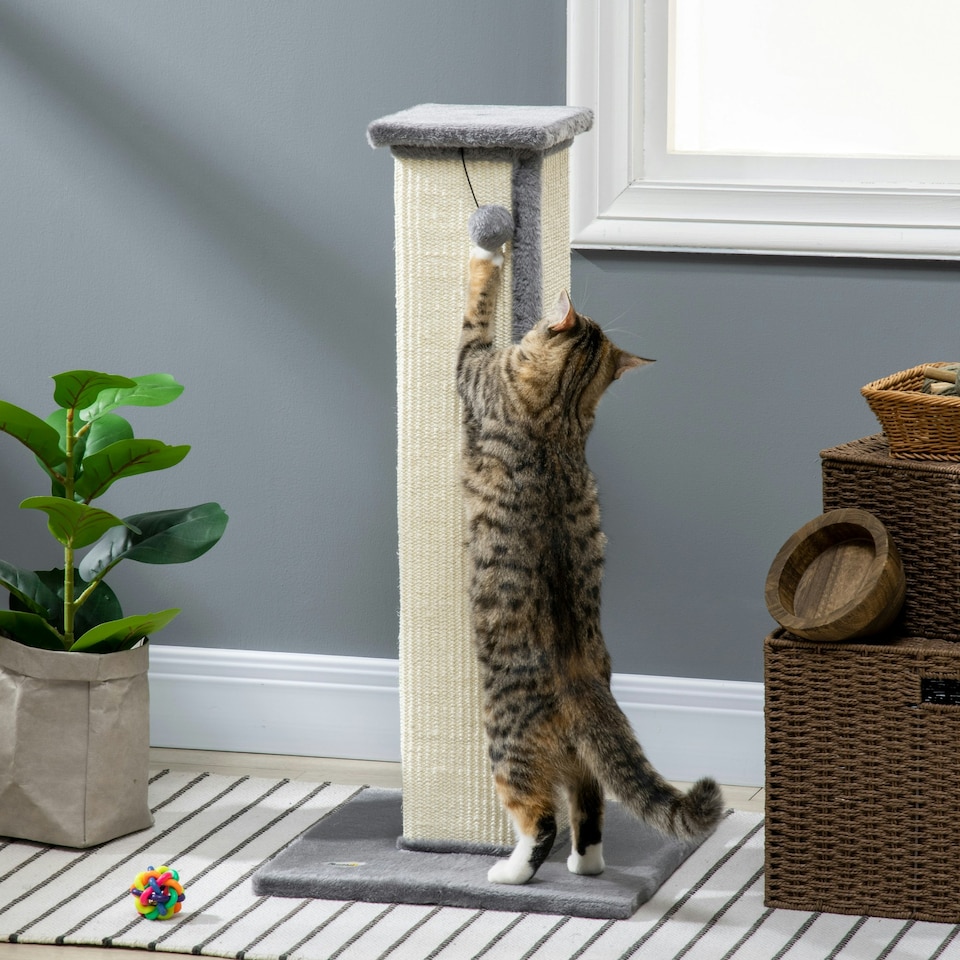 image 1 of PawHut Cat Scratching Post with Vertical Sisal Rope Ball Plush, 81cm, Grey