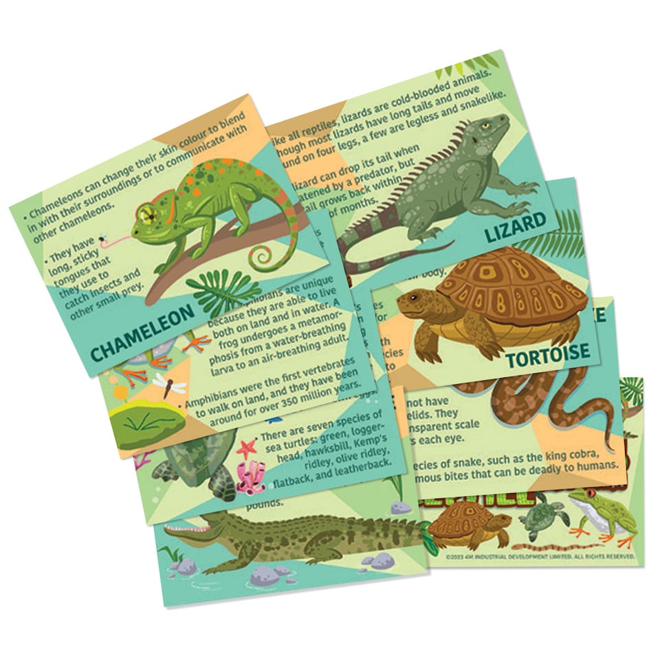 image 1 of Mould & Paint - Reptile & Amphibian