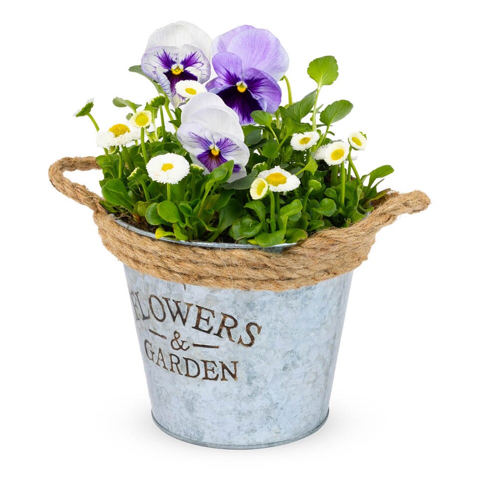 image 1 of Round Zinc Plant Pot 16cm with Hessian Handle