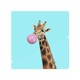 image 1 of Bubble gum on color background Designer Splash Back | White