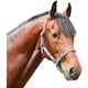 image 2 of Roma Stripe Horse Headcollar - Grey/Peach/Turquoise - Warmblood