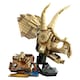 image 2 of LEGO Jurassic World Dinosaur Fossils: Triceratops Skull Set 76969