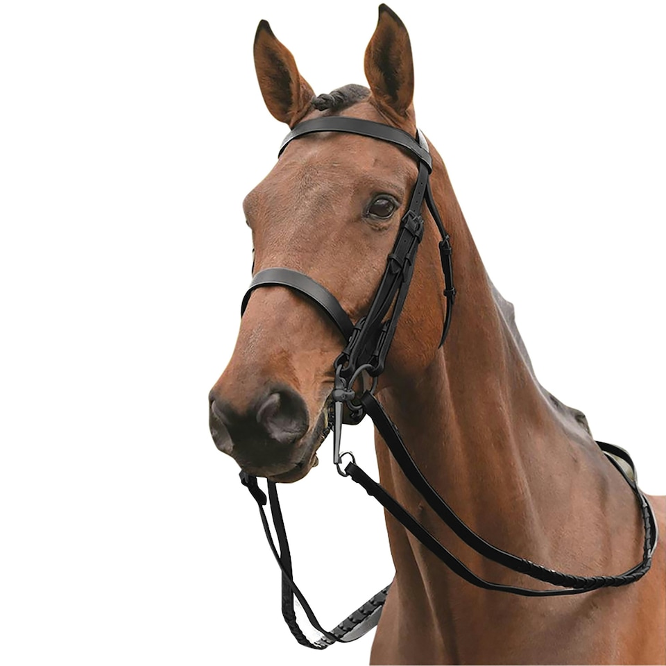 Kincade Leather Show Weymouth Bridle II - Black - Pony