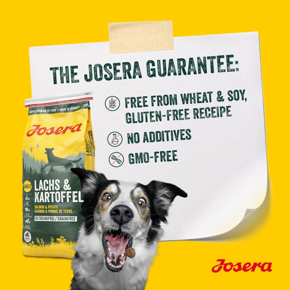 image 1 of Josera Adult Salmon & Potato grain-free complete food | Adult & Senior dogs | Single animal protein | Gluten free | Herbs & fruit | Skin & Coat | 3kg