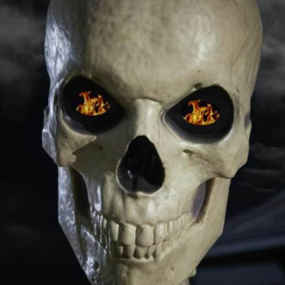 image 1 of Home Accents Holiday 12ft Standing Giant Halloween Skeleton with LCD Eyes and Posable Arms