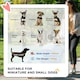 image 7 of PawHut Pet Stroller Foldable Dog Cat Travel Carrying Bag for Small Dogs