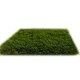 image 2 of Cypress 38mm Artificial Grass, Pet-Friendly Artificial Grass, Non-Slip Fake Grass For Decks, Patio Green | 5m(16'4") X 4m(13'1")-20m²