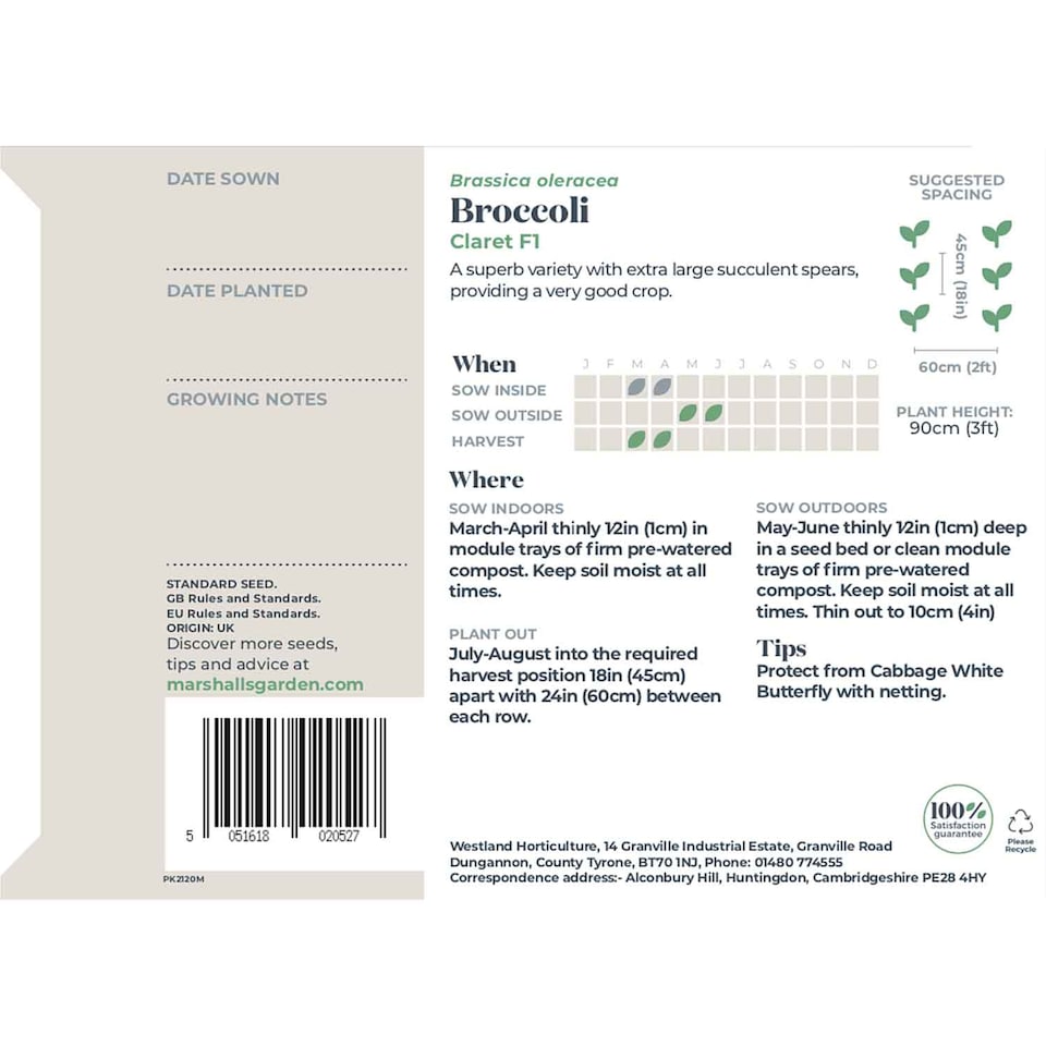 image 1 of Marshalls Garden Broccoli Seeds 'Claret' F1 90 Seeds | Green | Green, Purple