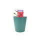 image 1 of Ruby Anniversary Wedding Rose 5.5L Pot  Dark Red Blooms for Special Occasions