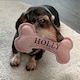 image 5 of History & Heraldry Pre-Personalised Squeaky Bone Dog Toy - Best Dog Ever