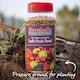 image 8 of Marshalls Garden Strawberry 'Sweetest Tasting' Collection - 3 Varieties for Pots & Small Gardens | Red | Red | 1