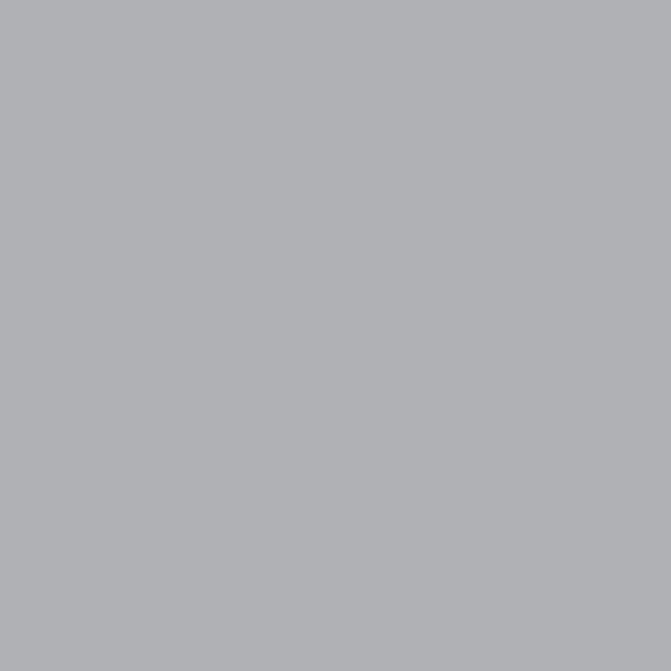 image 1 of Color Spray Grey | D 19