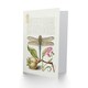 image 2 of Model Book of Calligraphy Art Card Dragonfly Pear and Carnation