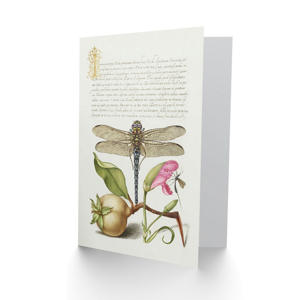 image 1 of Model Book of Calligraphy Art Card Dragonfly Pear and Carnation