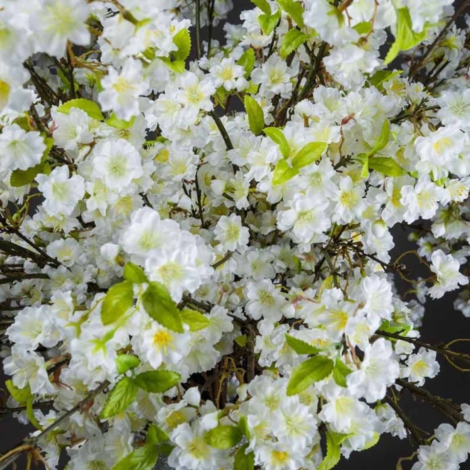 image 1 of White Cherry Blossom Spray Artificial Plant - Fabric/Plastic - L25 x W28 x H124 cm - White