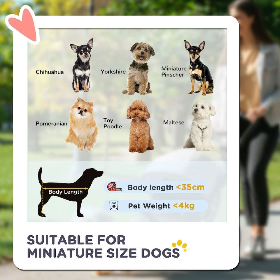 image 1 of PawHut 3-in-1 Pet stroller with Detachable Carrier for Mini Dogs, Grey