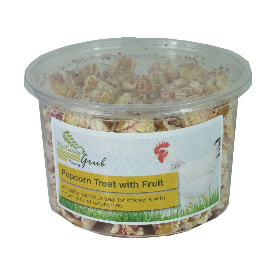 Natures Grub Poultry Popcorn Treat With Fruit - May Vary - Pack Of 6