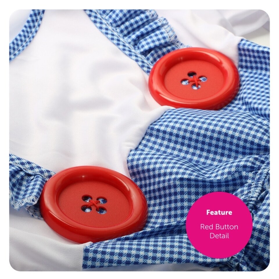 image 1 of Kansas Girl Costume - Soft Basket & Dog Blue | XL