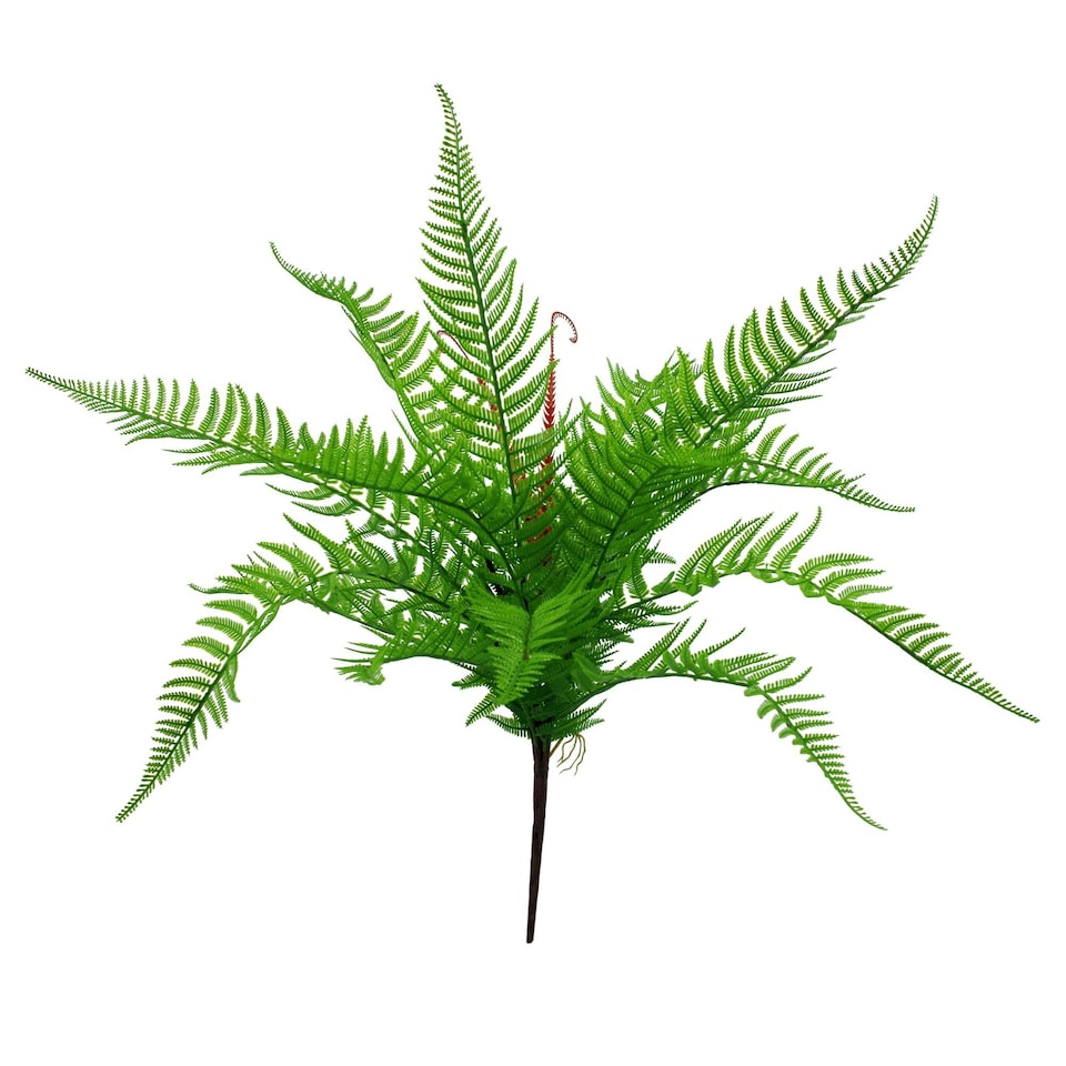 image 1 of 60cm Artificial Bushy Dixie Wood Fern Dark Green Plant
