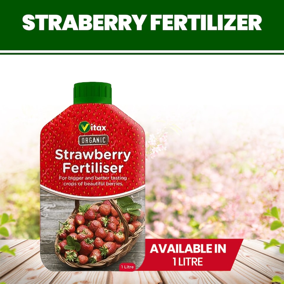 image 1 of Vitax Organic Strawberry Fertiliser 1L Liquid for Rich Flavor Bountiful Strawberries and Prolific Yields