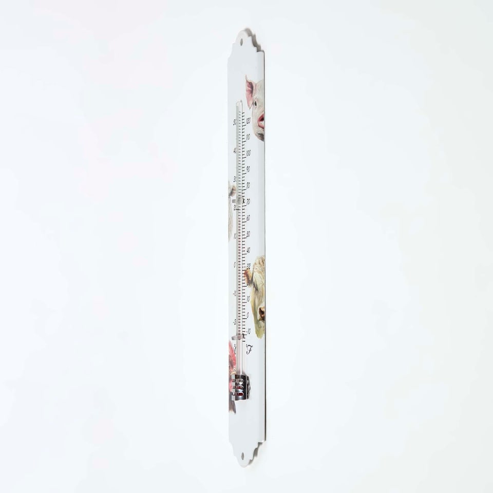image 1 of Homescapes Outdoor Thermometer with Farmyard Animal Design