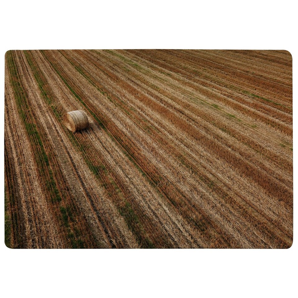 image 1 of Aerial view of hay bale fields (Rug) Cream | L