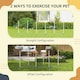 image 2 of PawHut Dog Weave Pole Set Agility Starter Kit Pet Outdoor Exercise Training Set