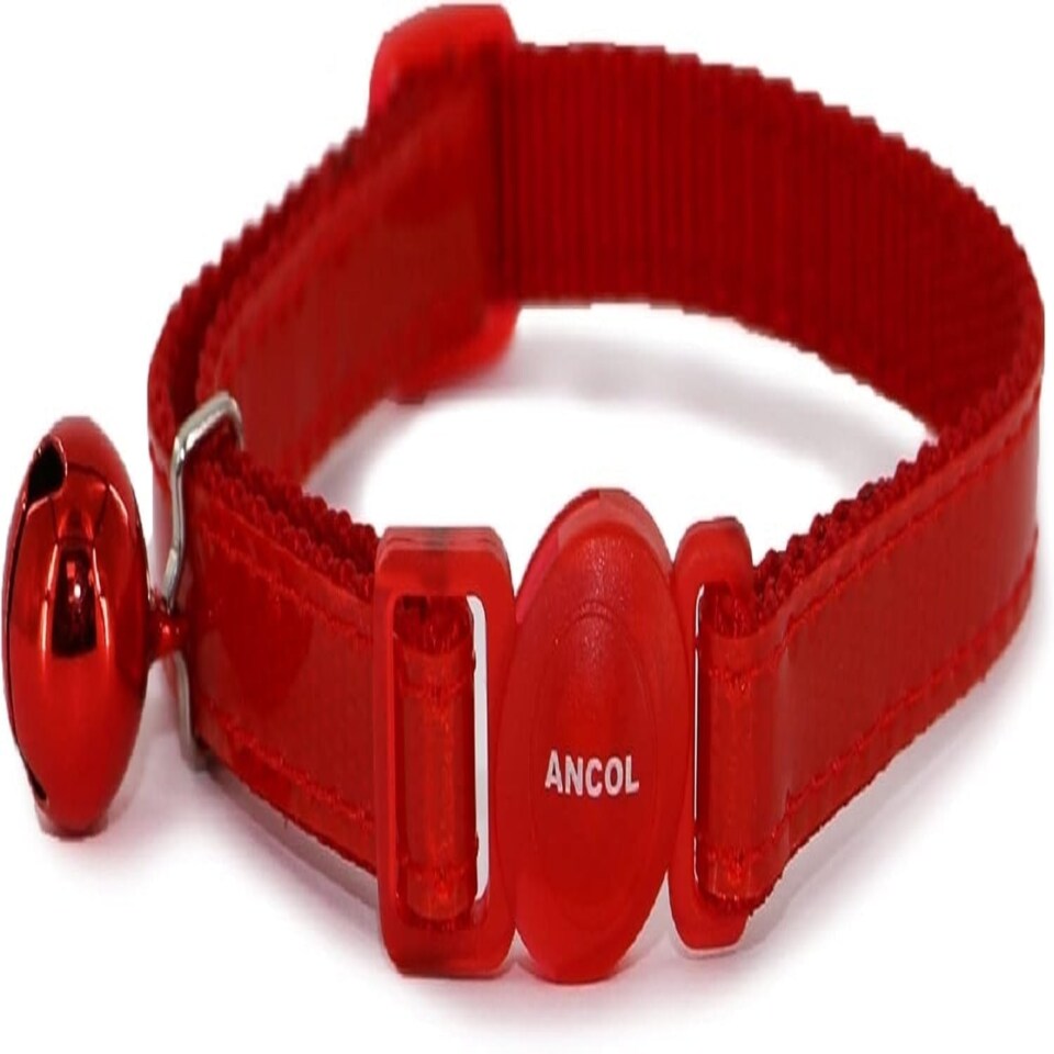 An Cat Col Gloss Ref Red 20-30CM Red | XS