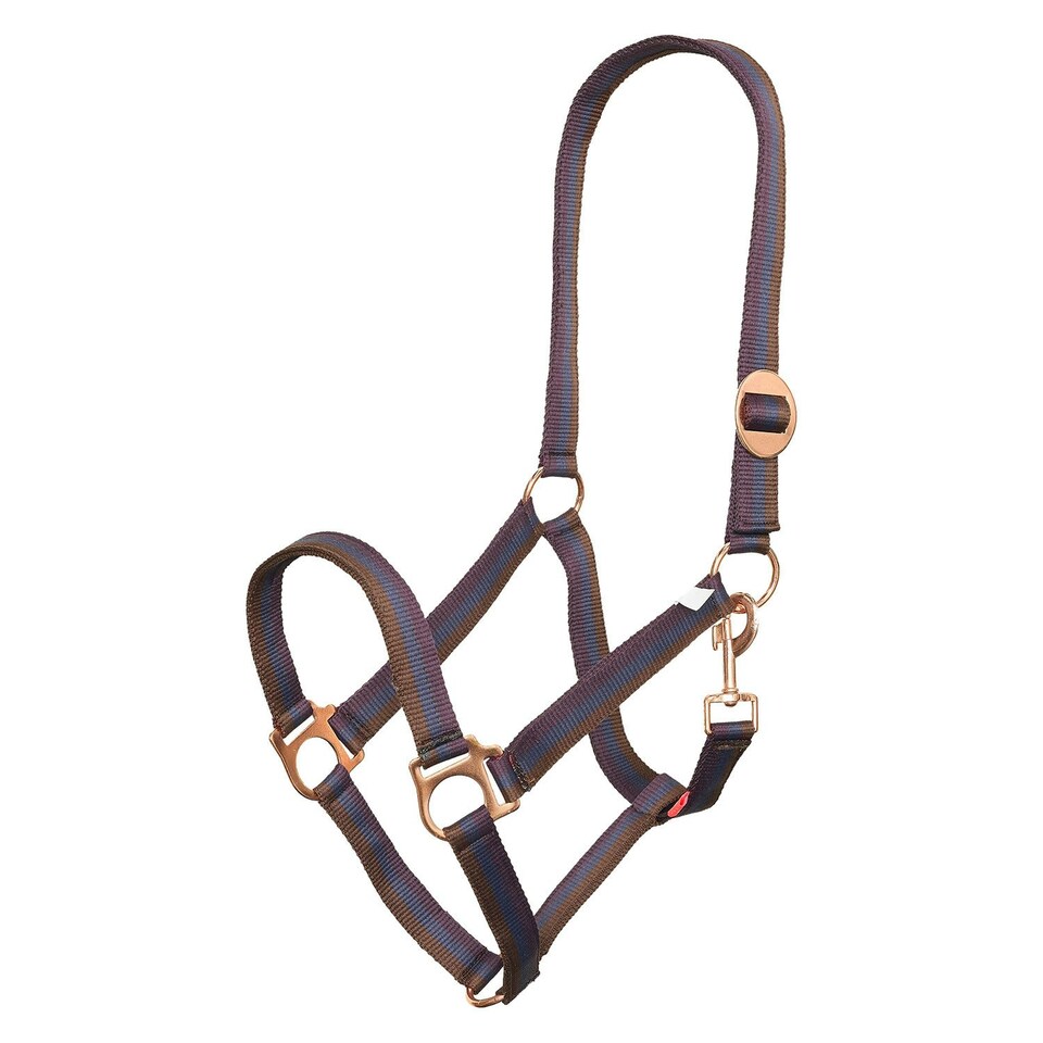 Imperial Riding IRHEconomic Horse Headcollar - Multicoloured/Bordeaux - Pony