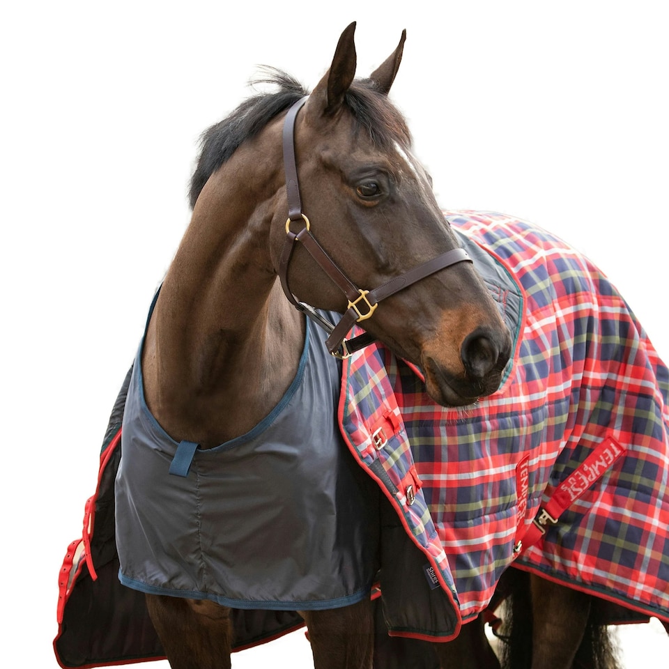 image 1 of Shires Satin Anti-Rub Horse Bib - Black - Cob