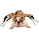 image 2 of Bristol Novelty Spider Dog Costume - Brown/Black/White - S Brown | S