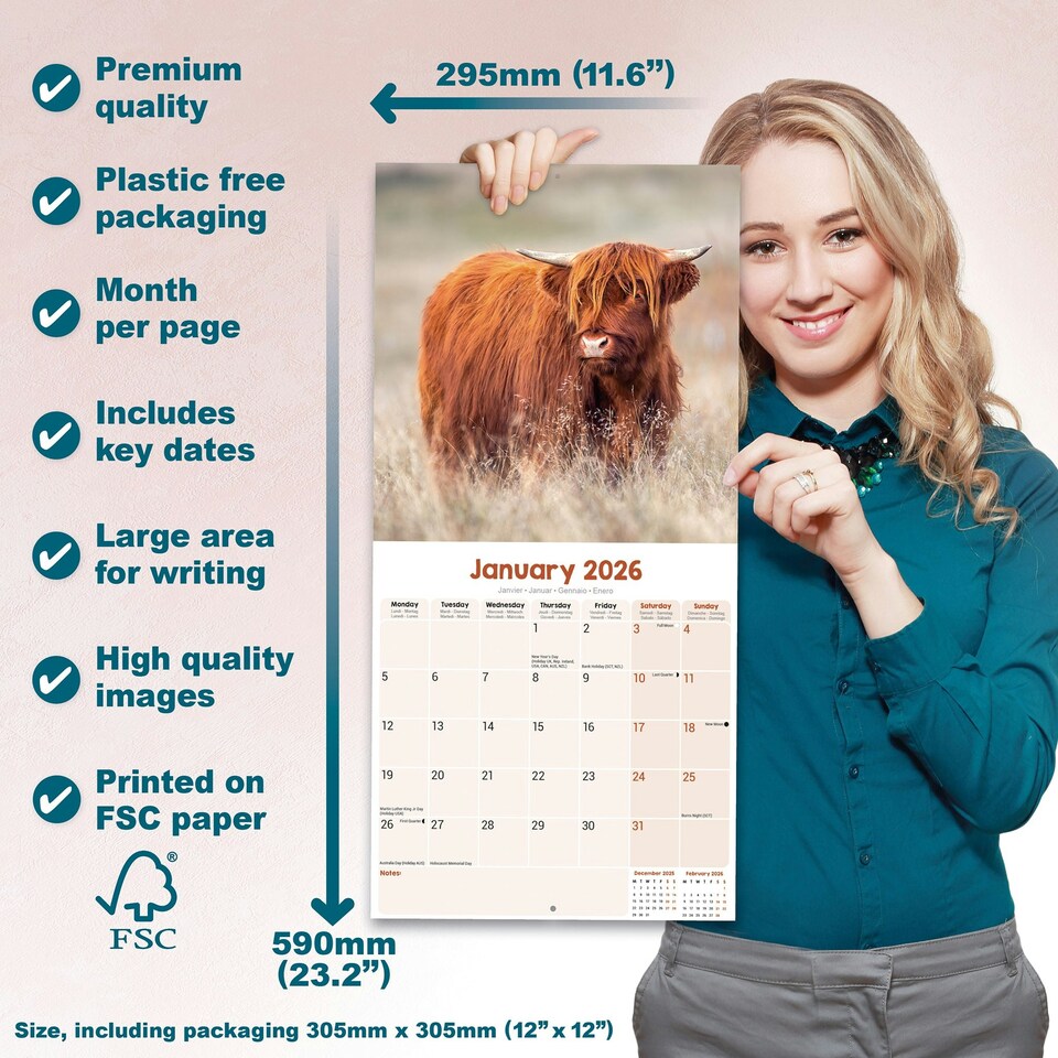 image 1 of Highland Cows 2026 Calendar | Square Wall Calendar | Farm Animal Gift | Plastic Free Packaging | by Avonside Publishing