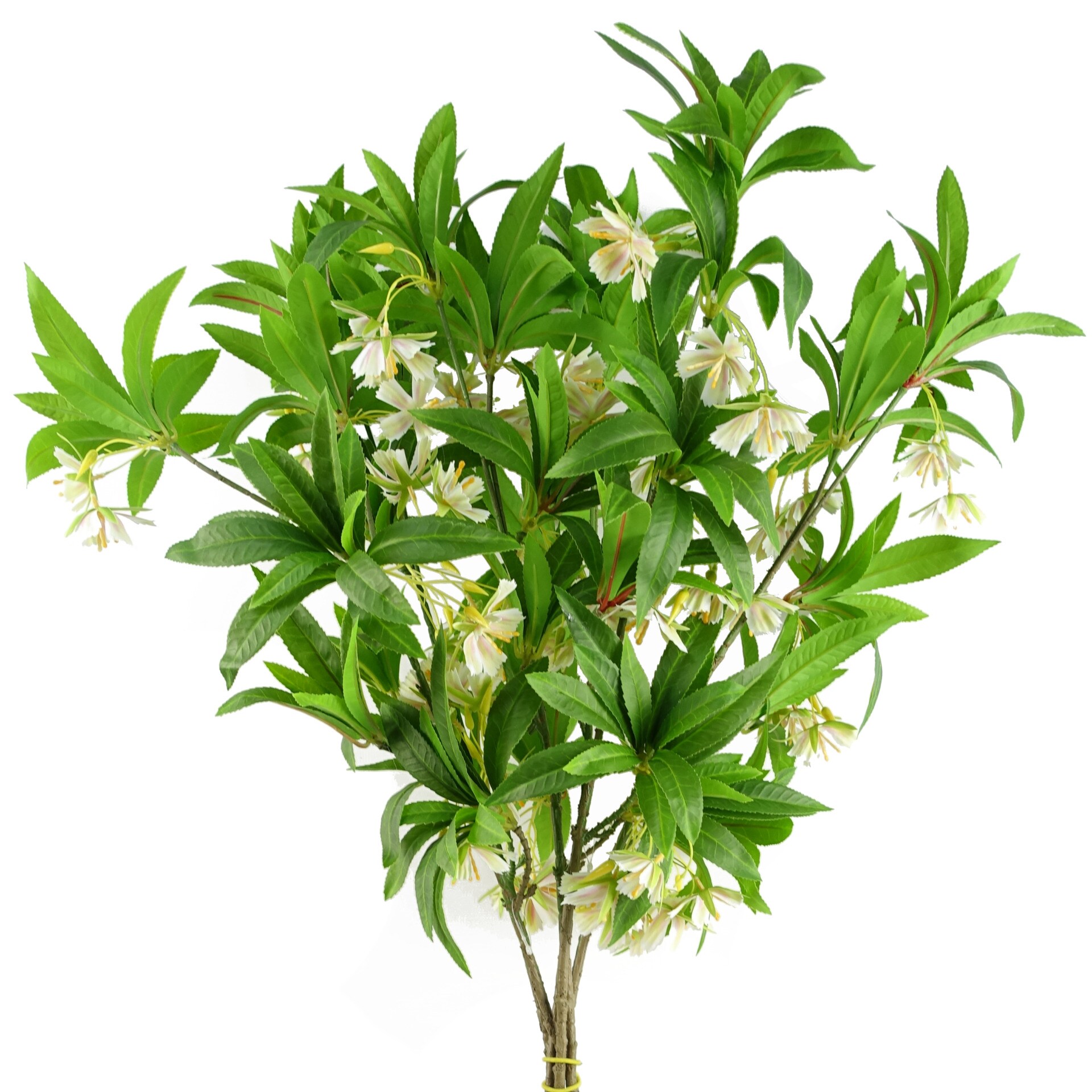 Pegdev Pack of 6 90cm Artificial Hainan Elaeocarpus Stem Green Foliage